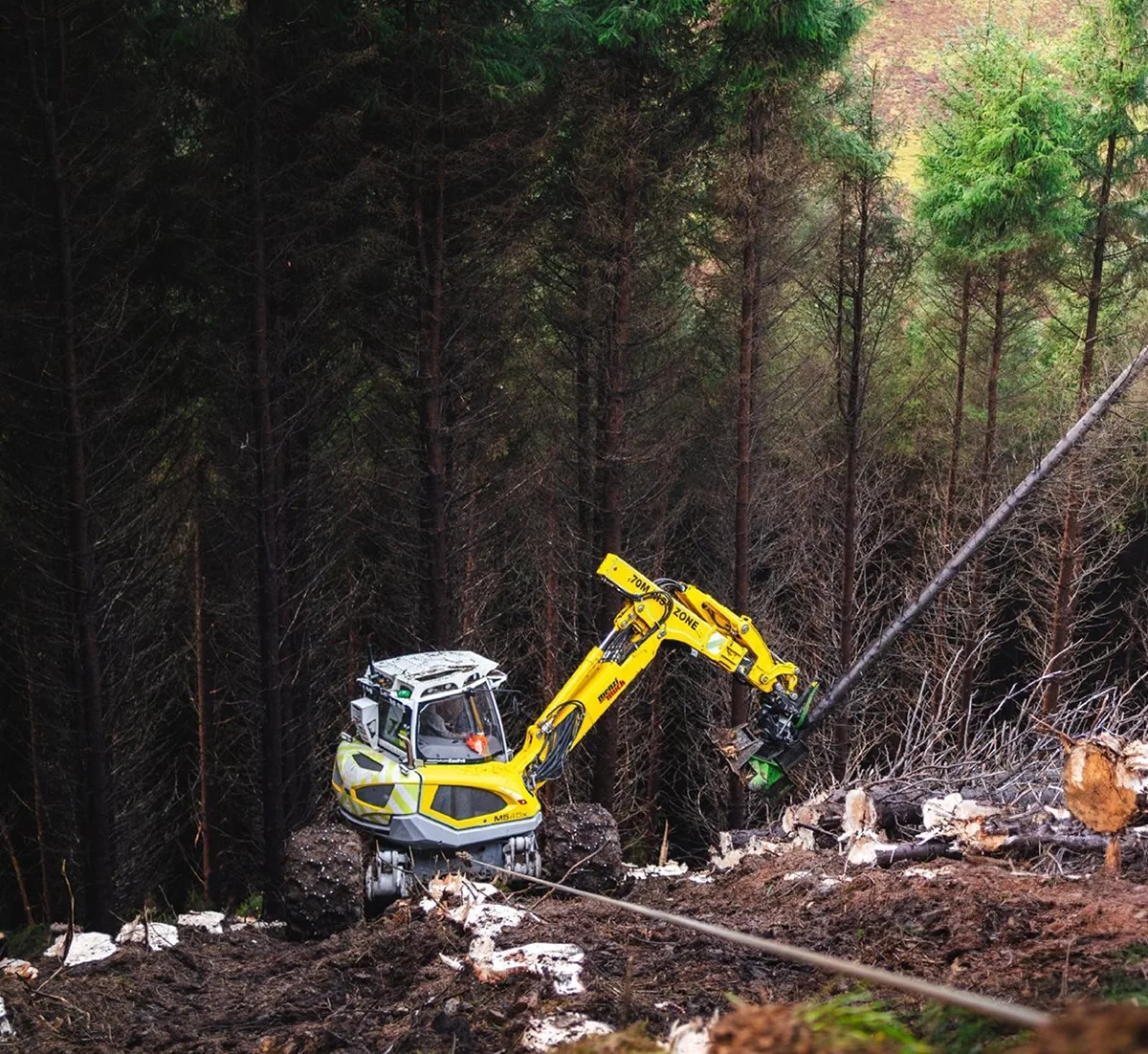 BI302 Tree Shear photo 12