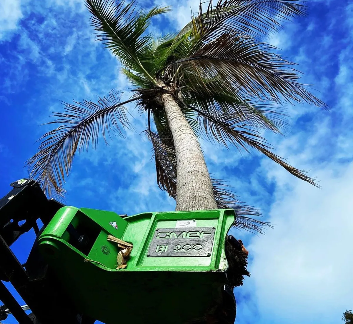 BI302 Tree Shear photo 15