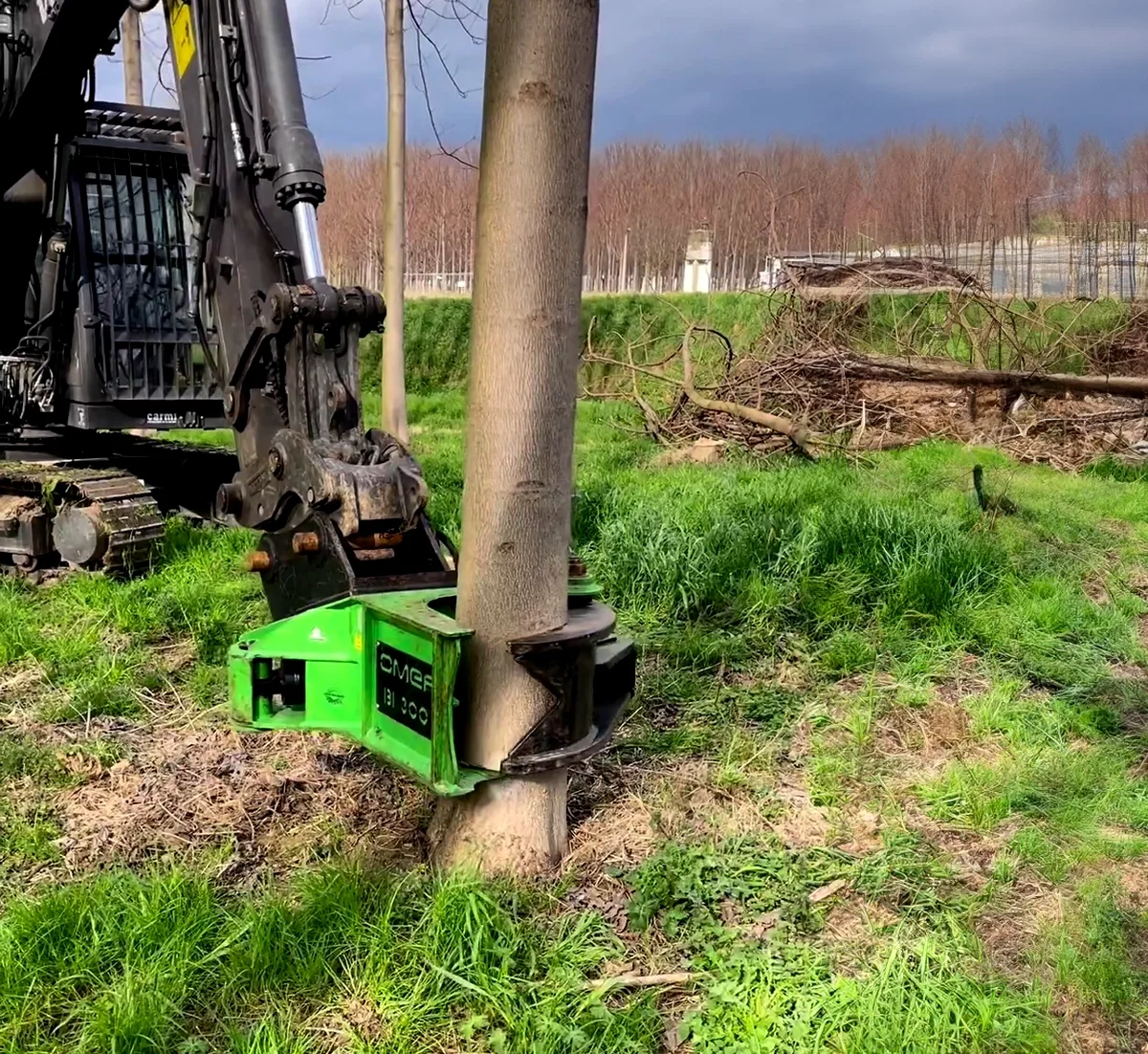 BI302 Tree Shear photo 9
