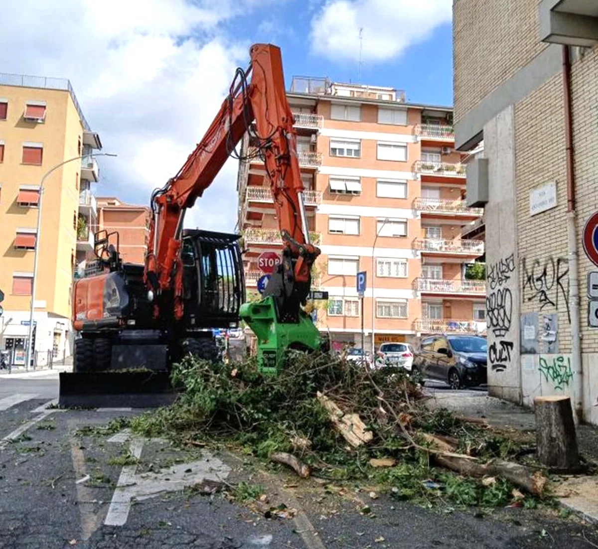 BI402 Tree Shear photo 15