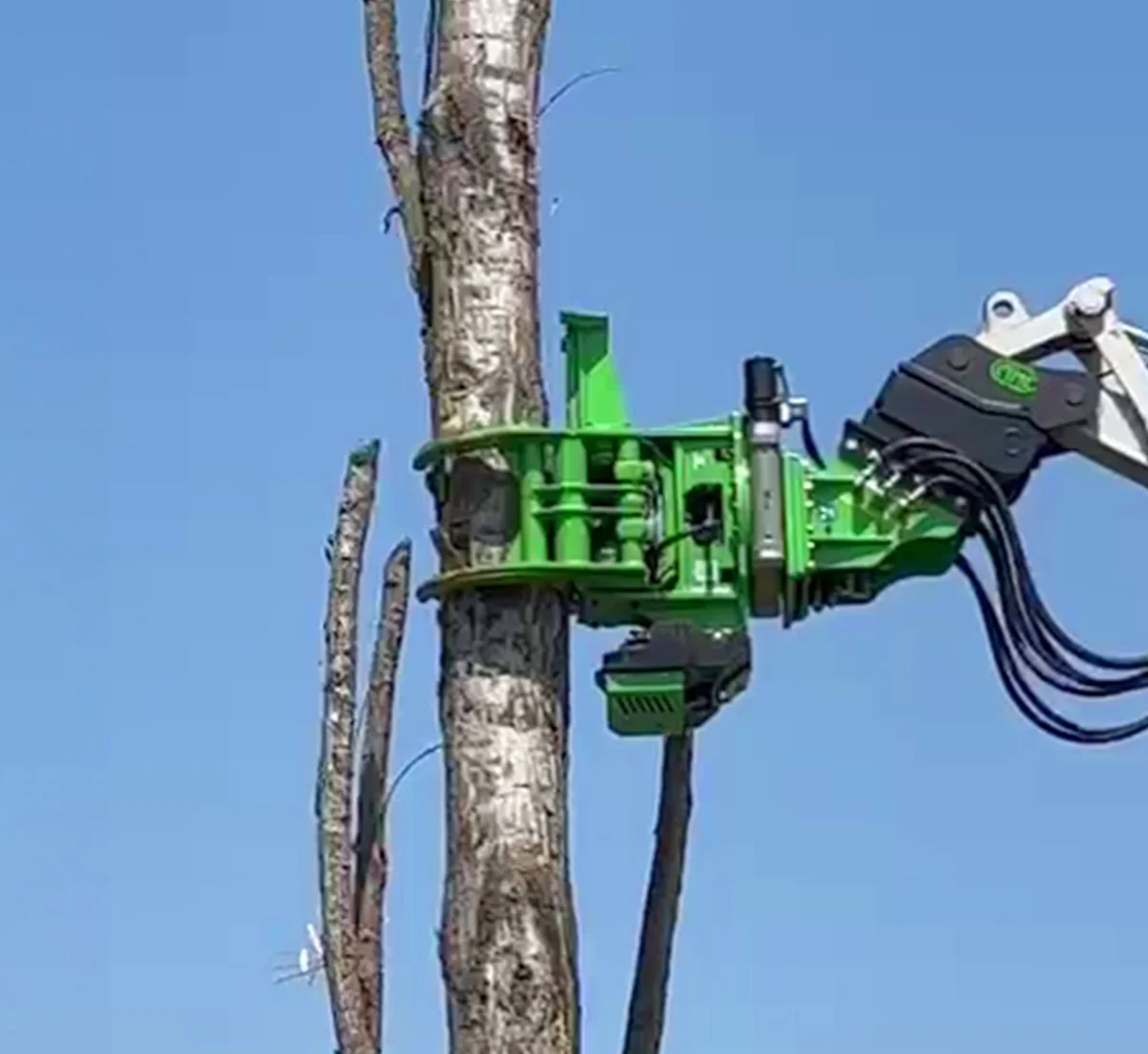 Grapple Saws