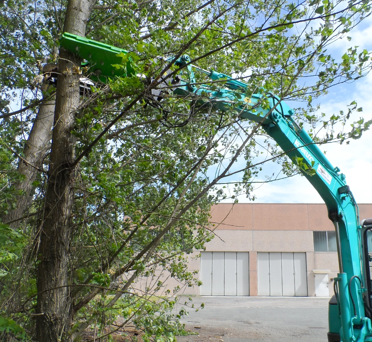 Pruning and Trimming