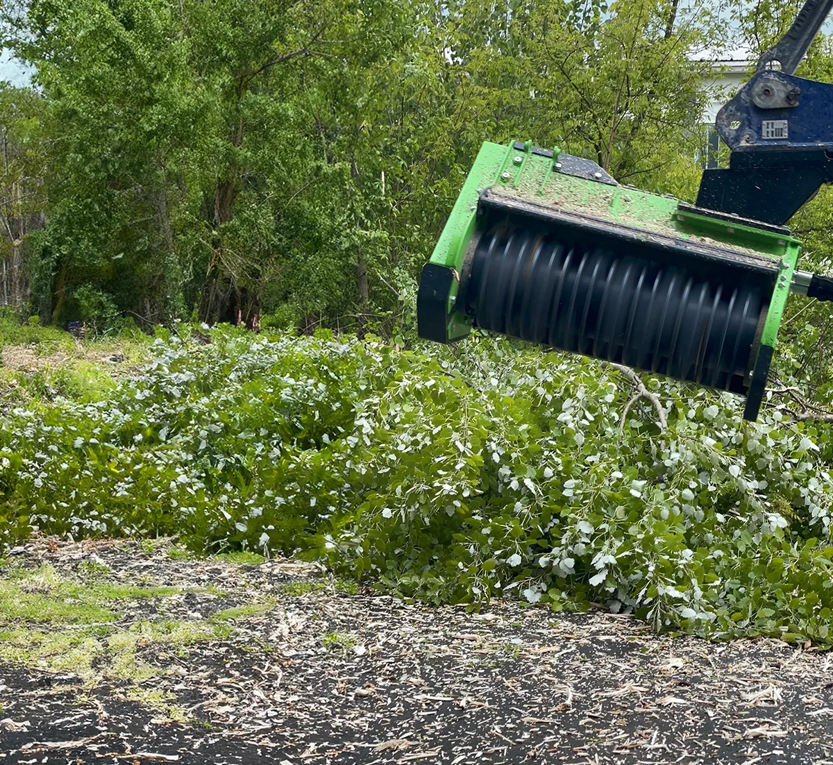 TE3.9-110DF2 Forestry Mulcher photo 7