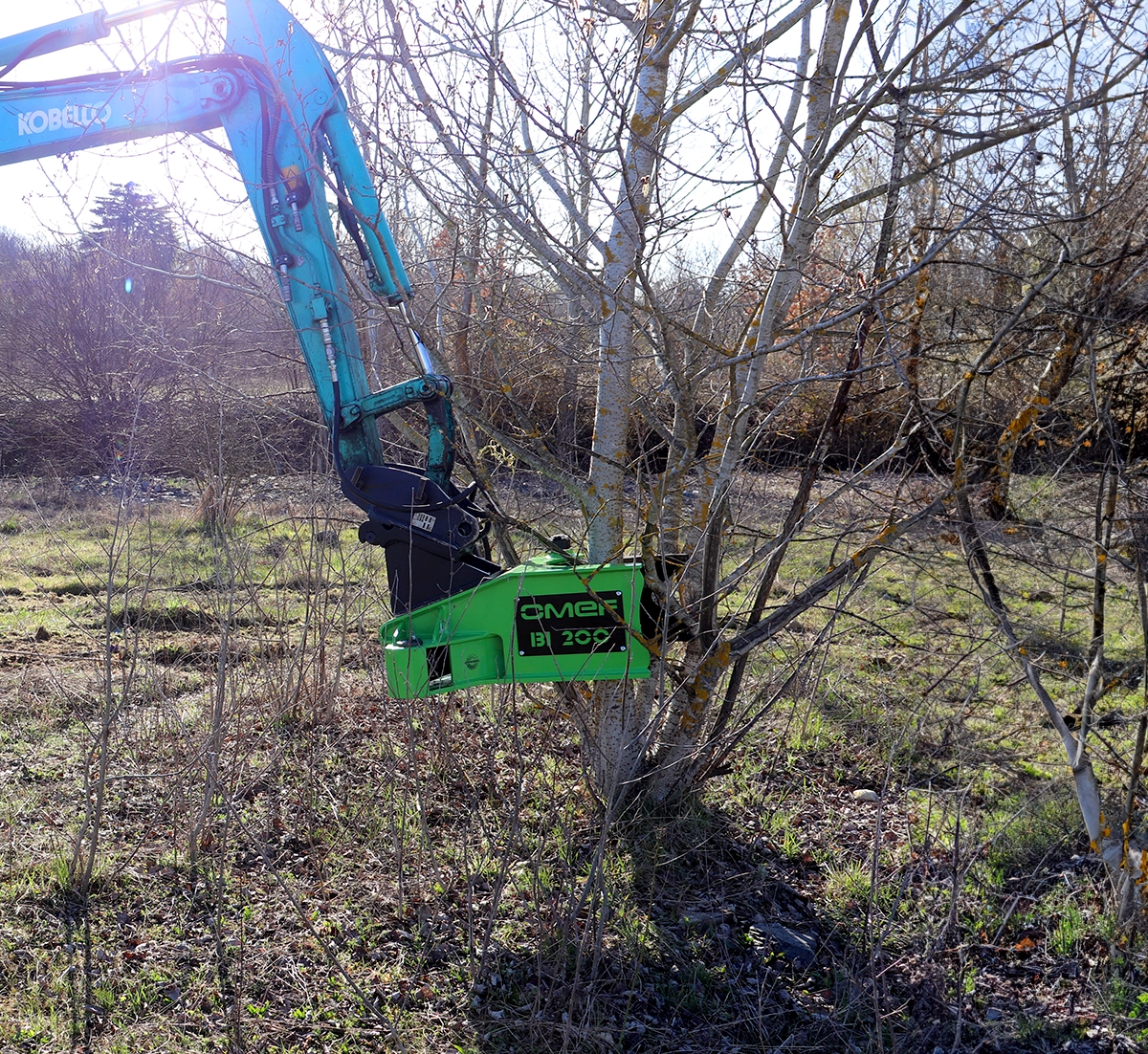 Tree Shears