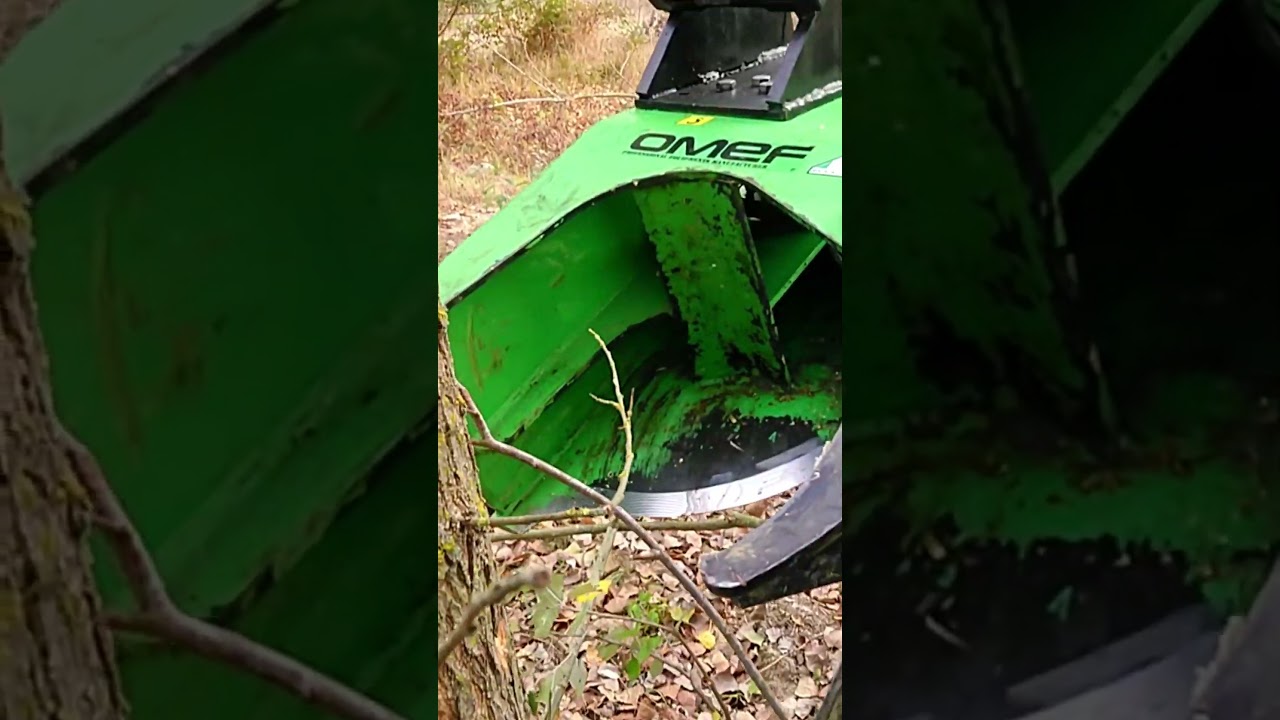 Tree Shears