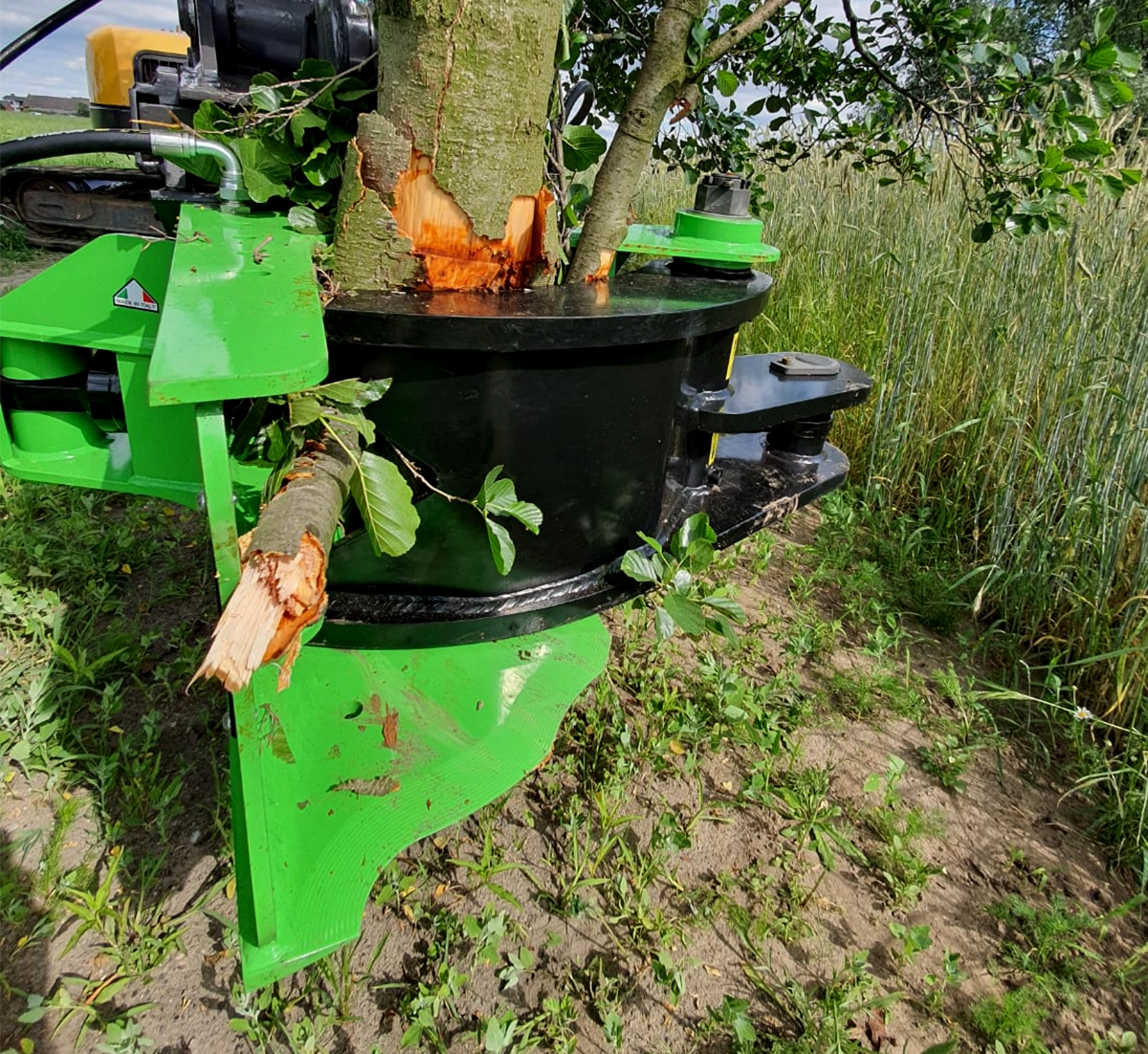 Tree Shears