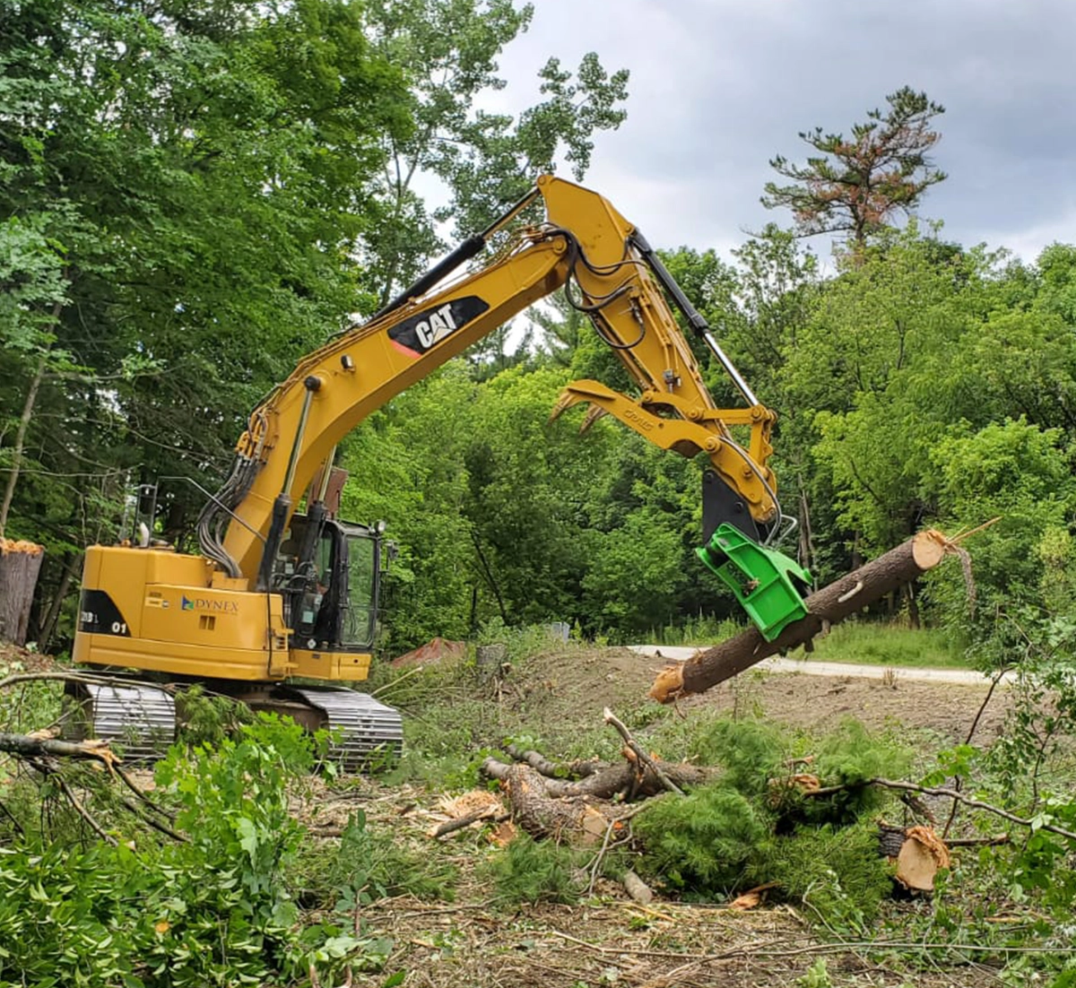 Tree Shears