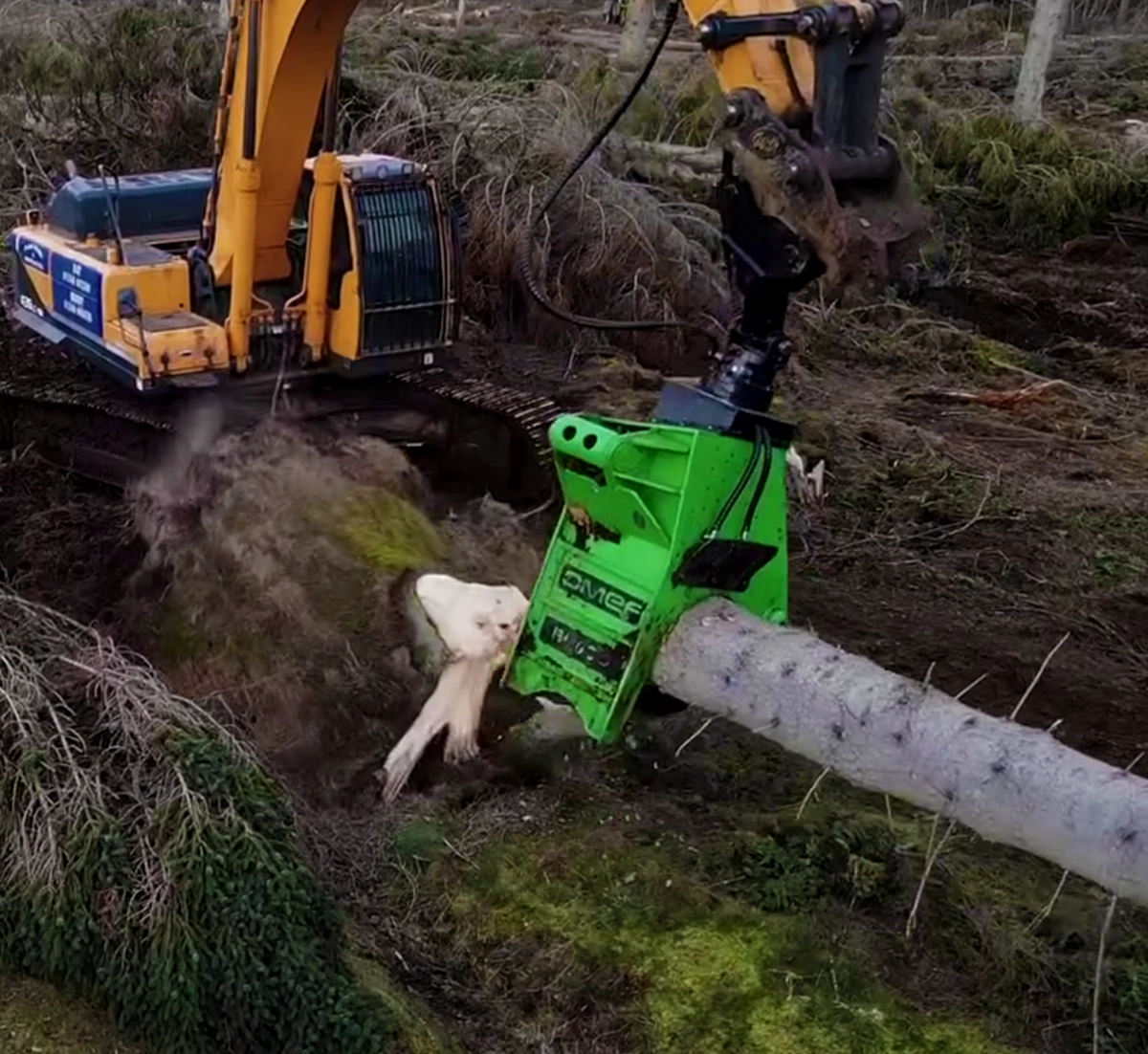Tree Shears