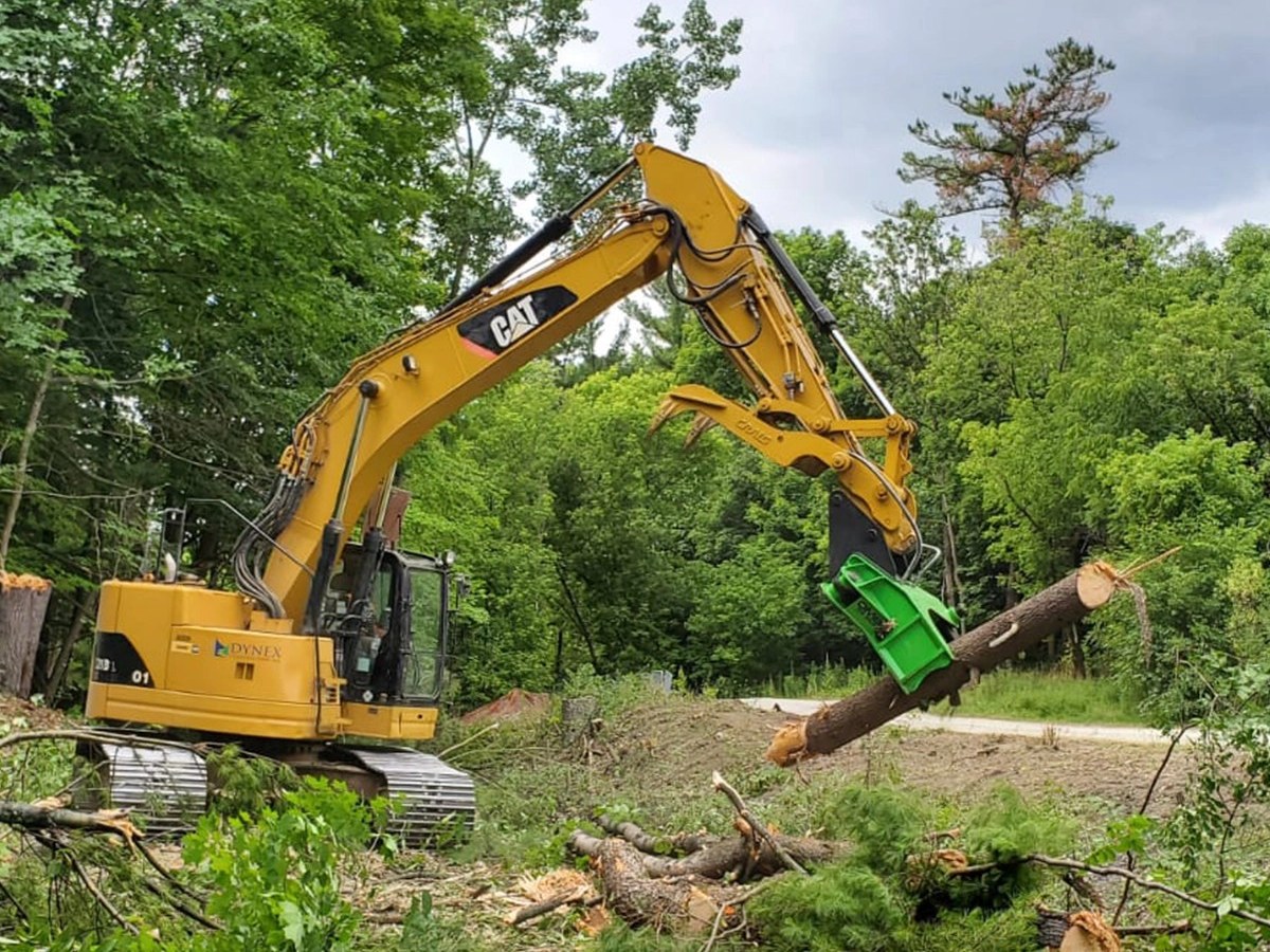Tree Shears